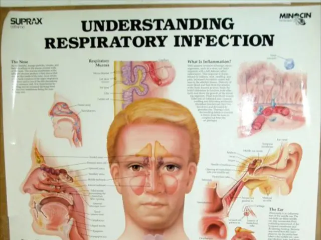 In this image there is a poster. On the poster there are body parts of a person and there is a...