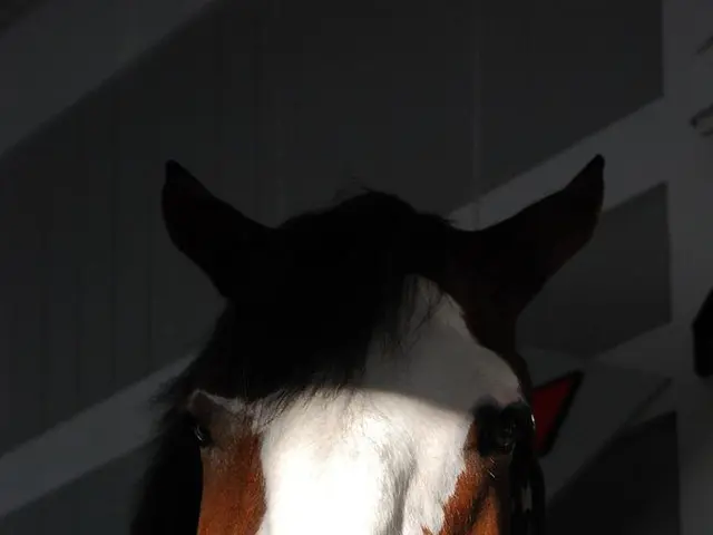 In the foreground of this image, there is a horse which is truncated up to its neck and on the...