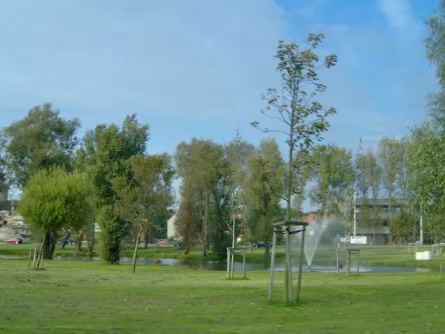 In this image we can see trees, sprinklers, water, motor vehicles, buildings and sky with clouds.