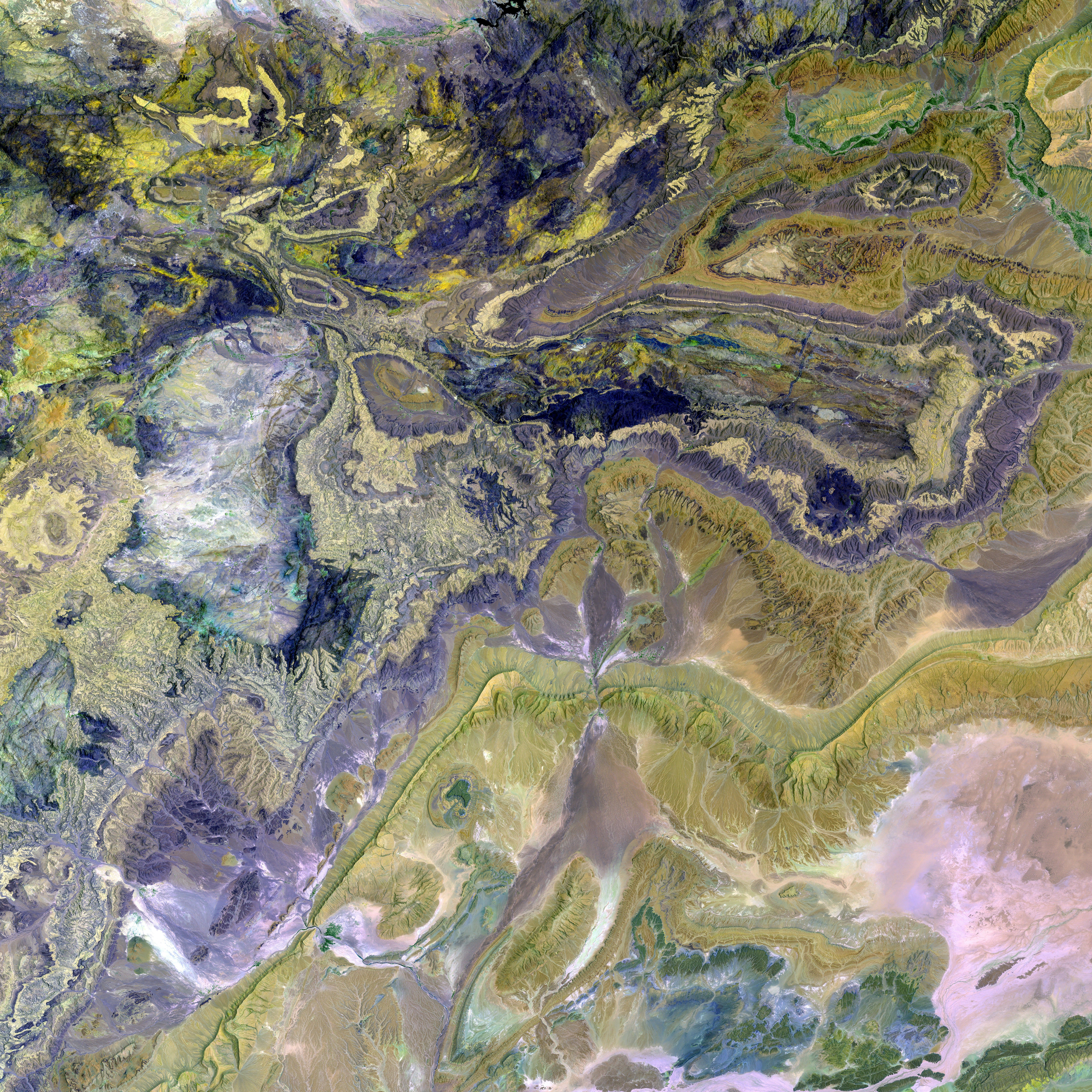 Wild Bears Roam Freely in Approximately 1200 Numbers within Slovakian Forests