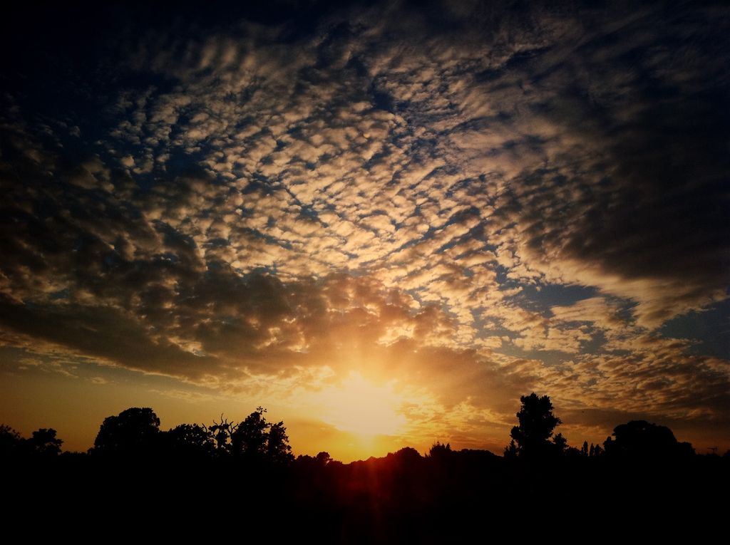 Sick fisherman with potentially acute appendicitis, rescued on a boat in the central coastal...