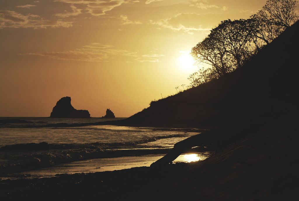 Investigating the appeal of psychic readings: Uncovering why individuals opt for professional...